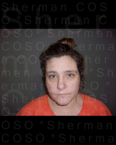 Mugshot of RABEKA RAE FRANKLIN