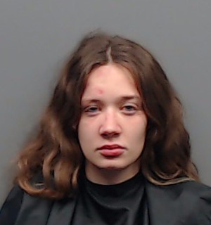 Mugshot of HALIE NICOLE VARNER