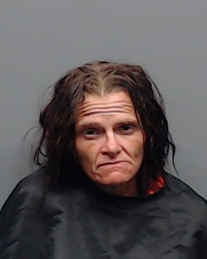 Mugshot of CYNTHIA MARIE WEINBERG