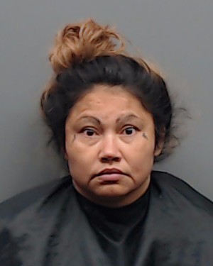 Mugshot of IRMA ALVAREZ
