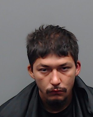 Mugshot of JONATHAN RAANAN LUNA