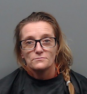 Mugshot of LESLIE KAROLE FRENTRESS