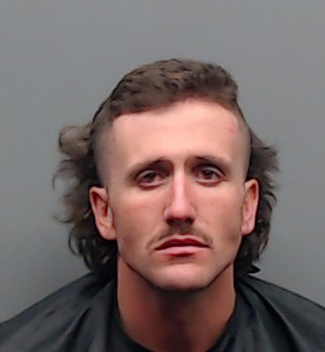 Mugshot of LAIN MATHEW BICKELY
