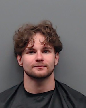 Mugshot of DAVID WOODS