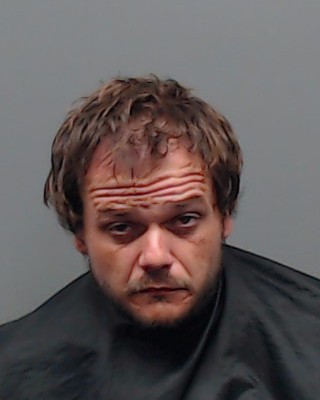 Mugshot of BRANDON KEITH STEVE WILLIAMS