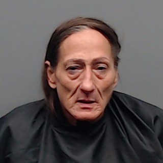 Mugshot of DARLA ANNIE SILVA