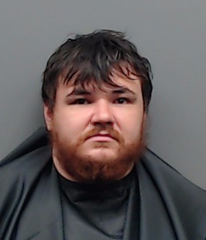 Mugshot of LOGAN FERGUSON