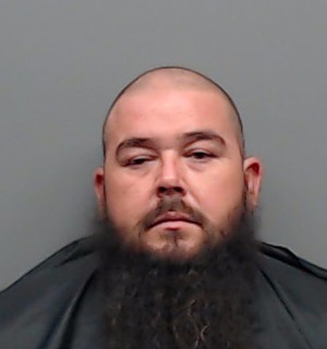 Mugshot of DAVID JOSE MEDINA
