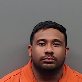 Mugshot of ELVIS OVIEDO-RICO