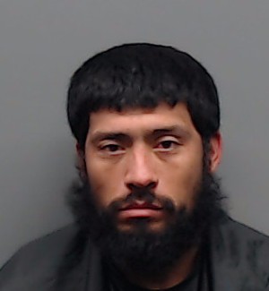 Mugshot of ISRAEL DELAROSA