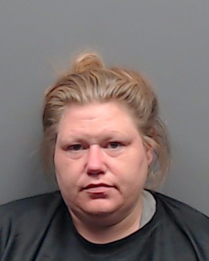 Mugshot of AMY NICOLE TERRY