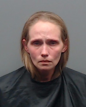 Mugshot of DANA MICHELLE PHILLIPS