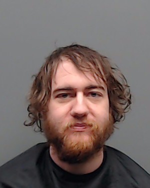 Mugshot of REAGAN BLAKE BUSH