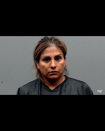 Mugshot of VIRGINIA GAMEZ PONCE VALDIVIA