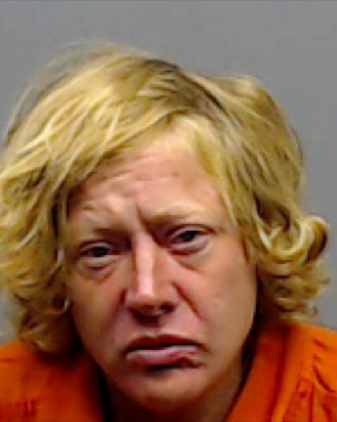 Mugshot of LISA CATHERINE HALBROOK