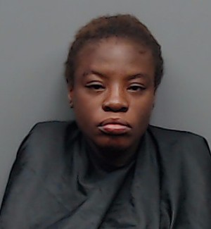 Mugshot of TIERRA KAMESHA CHILTON