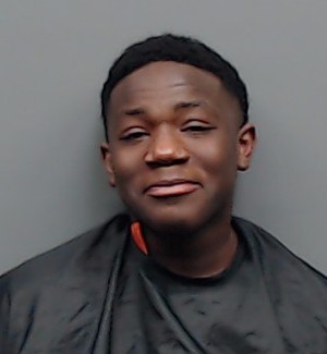 Mugshot of MARJA LEE BELL