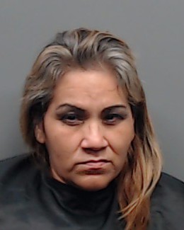 Mugshot of LIDIA ROCIO VELOZ