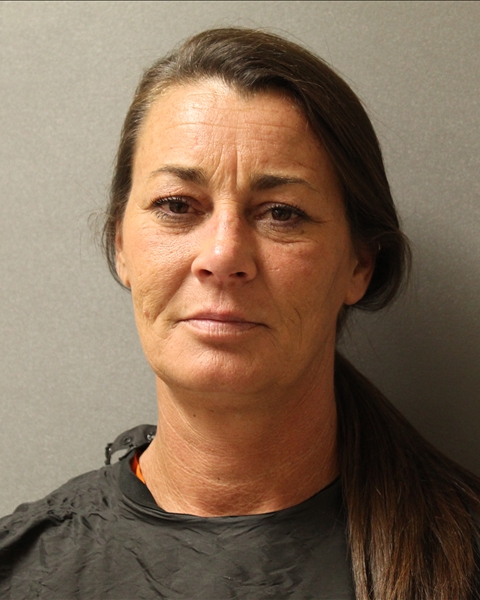 Mugshot of AMANDA DAWN PERRIN