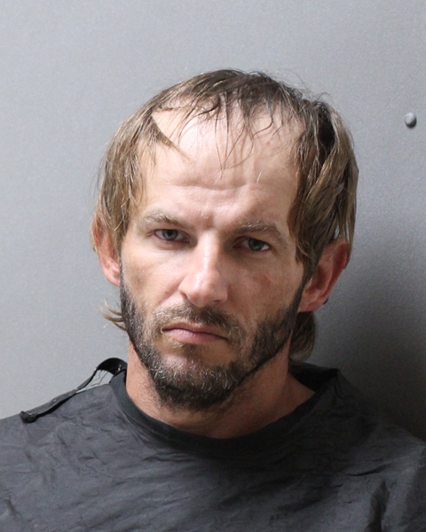 Mugshot of OWEN JAY WILLIS