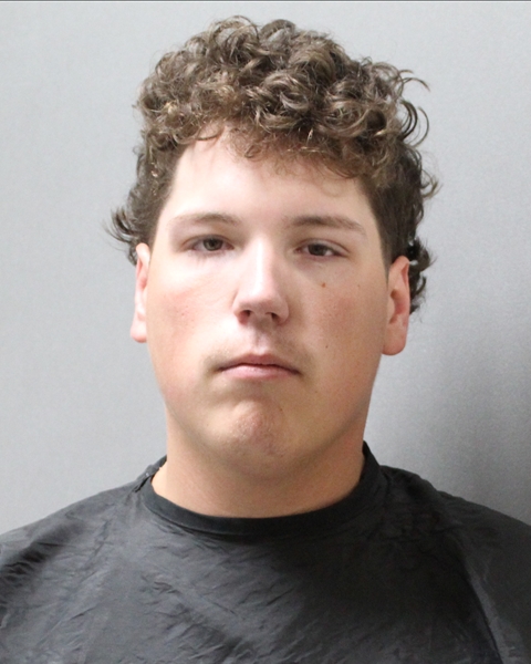 Mugshot of RYAN WILLIAM LEE WILKINSON