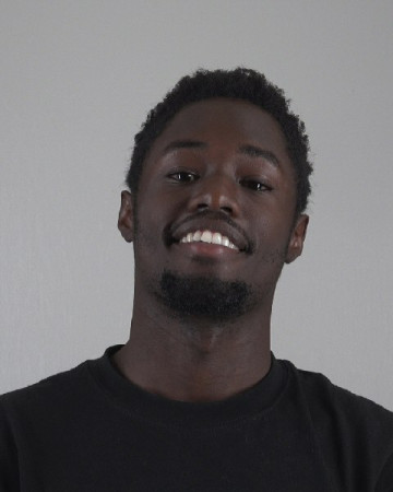 Mugshot of ROBERT WILSON