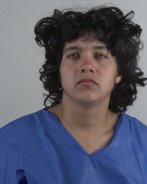 Mugshot of VANESSA MEDINA