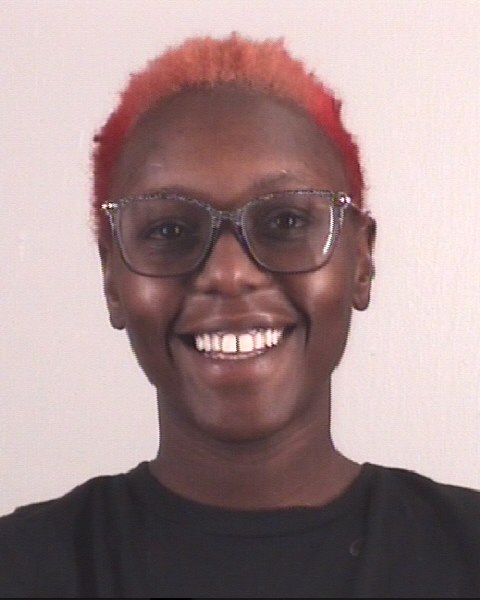Mugshot of CHASITY MENKINS