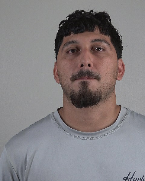 Mugshot of ELMIN LIMASPINEDA