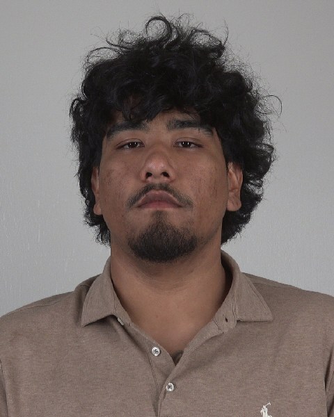 Mugshot of LUIS CASTANEDA