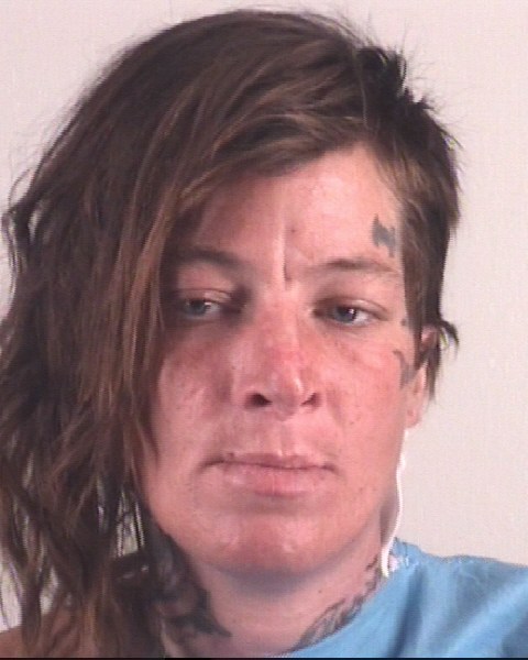 Mugshot of AMANDA ELKINS