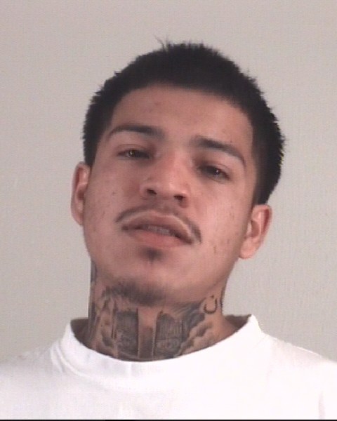 Mugshot of FRANCISCO AVILA