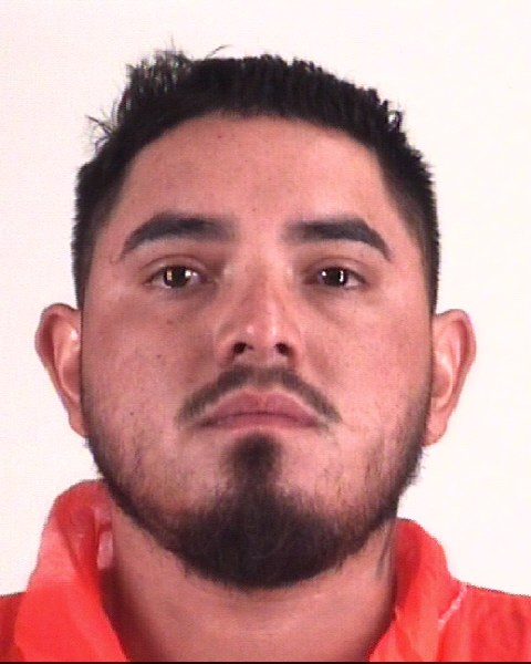 Mugshot of NELSON GARCIA