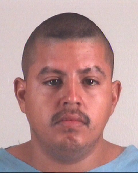 Mugshot of JONIS ALVAREZ