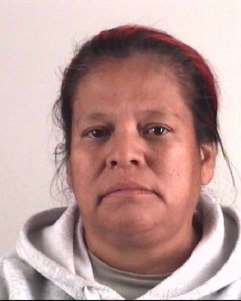Mugshot of BERENICE TELLEZTORRESS