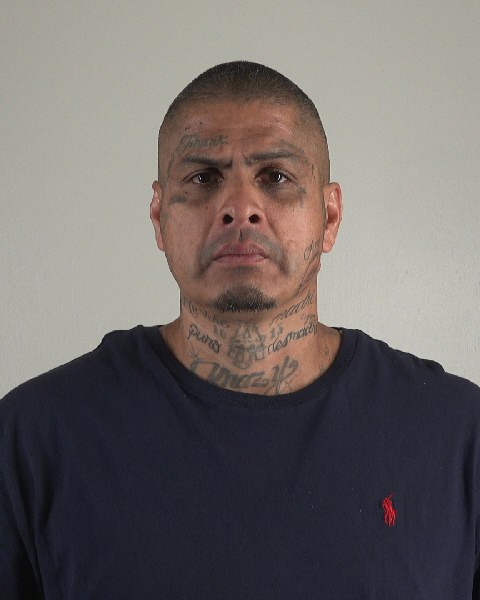 Mugshot of FRANK CONTRERAS