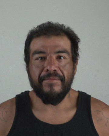 Mugshot of LUIS MARTINEZ