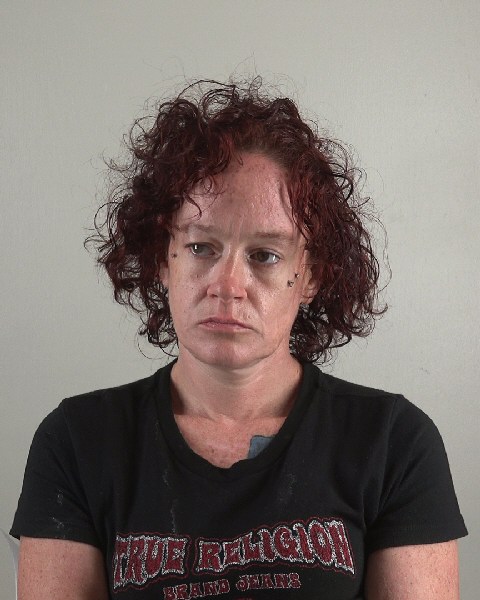 Mugshot of DANA FLYNN