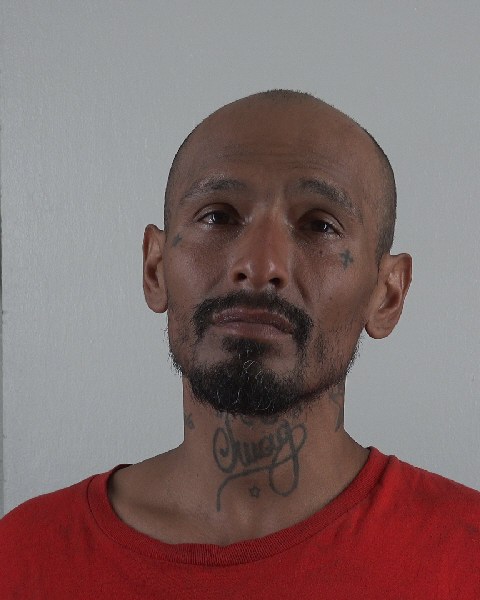 Mugshot of JOE AREVELO