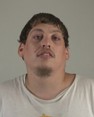 Mugshot of WALKER FEASTER