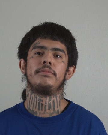 Mugshot of LUIS FLORESLECHUGA