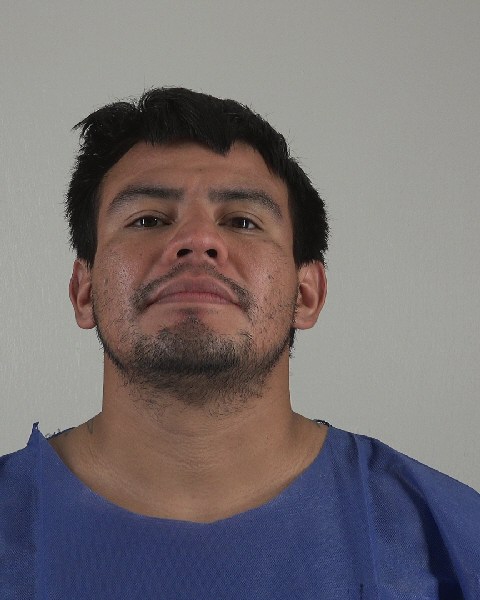 Mugshot of LEONARDO BRISENO