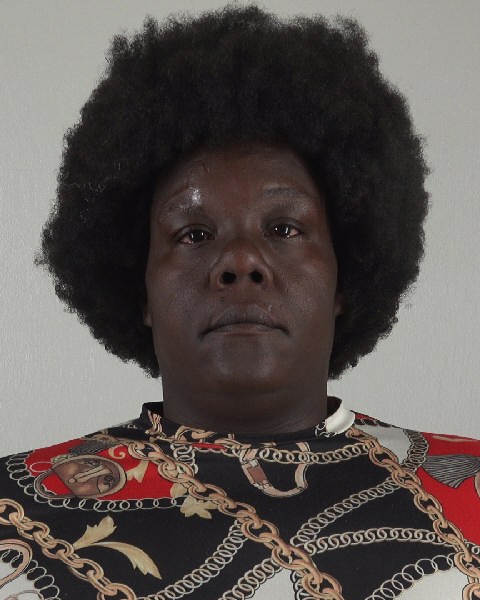 Mugshot of VERONA BOYD