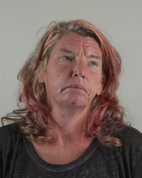 Mugshot of TAMMI COX