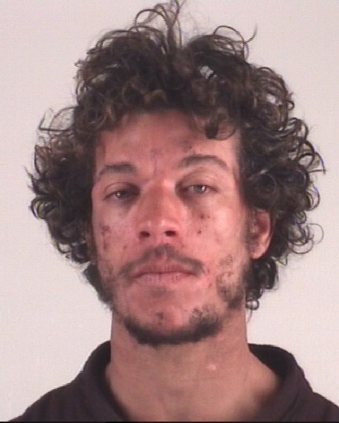 Mugshot of TROY STARKS