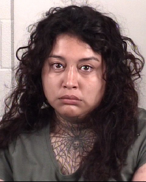 Mugshot of KARINA AYONAYALA