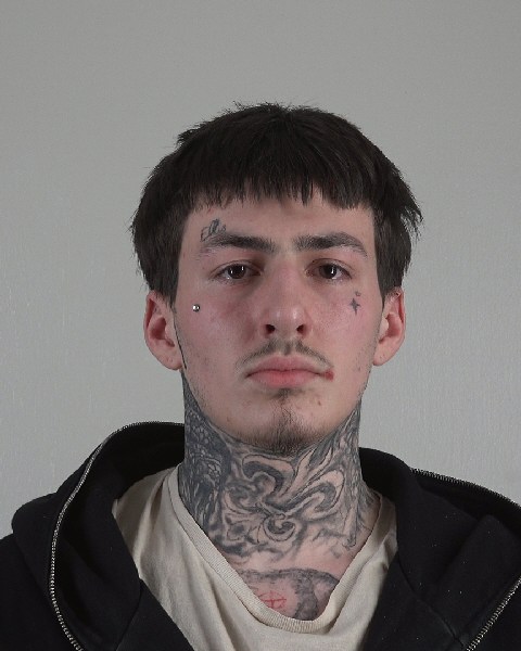 Mugshot of ETHAN ELLIS