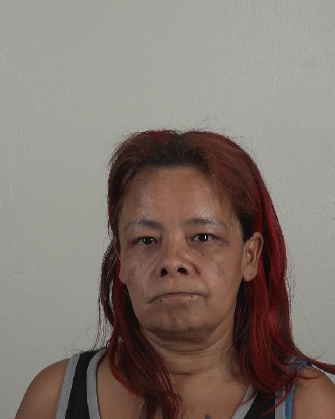 Mugshot of CYNTHIA ALVAREZ