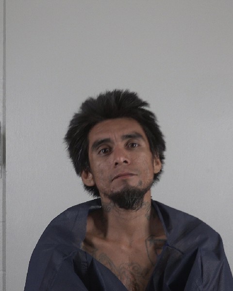 Mugshot of BRIAN CASTILLO