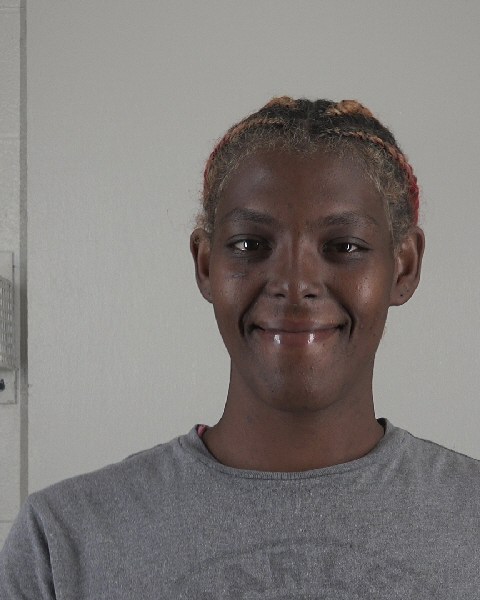 Mugshot of DAMYLA HAYNES